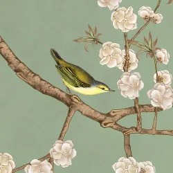 SAKURA NG | Carta da parati fiori e uccellini